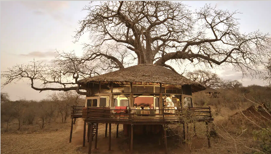 Screenshot 2025-03-09 201347